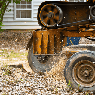 Picture of stump grinding in Decatur Illinois